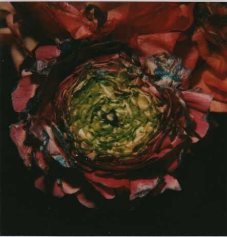 Nobuyoshi Araki, ‘Flower’, ca. 2009