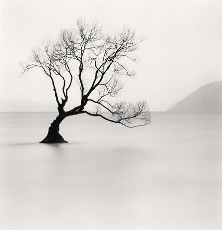 Michael Kenna, ‘Wanaka Lake Tree, Study 1, Otago’, 2013