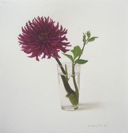 Donald Campbell, ‘Zinnia in a glass’