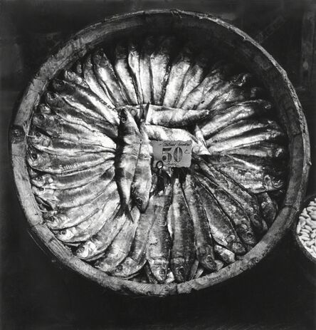 Fred Stein, ‘Fish Platter (Brittany)’, 1935