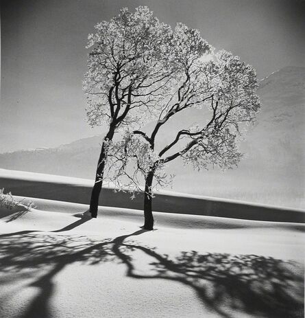 Alfred Eisenstaedt, ‘Trees in snow, St. Moritz, 1947’, 1947