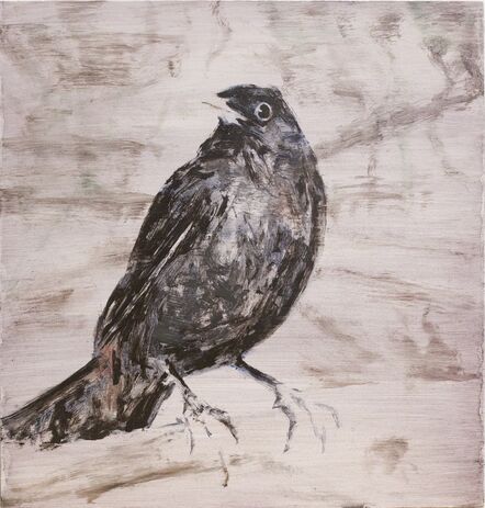 Susanne Johansson, ‘Koltrast/ Black Bird’, 2016