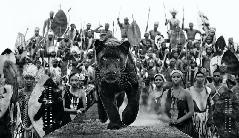 David Yarrow, ‘I am Black Panther’, 2021, Photography, Archival Pigment Print, Samuel Lynne Galleries