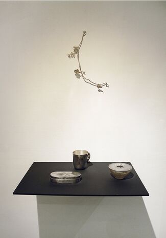 vol.38 Takejiro Hasegawa "Form of Abundance", installation view