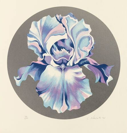 Lowell Nesbitt, ‘Iris on Silver’, 1981