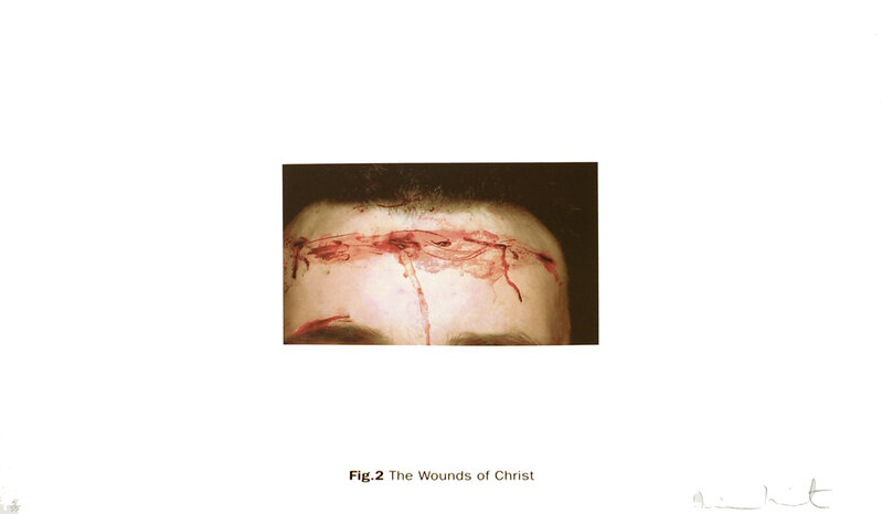 Damien Hirst, ‘The Wounds of Christ - Fig.2 - Fig.7’, 2005, Photography, Silkscreen on somerset satin, Serge Sorokko Gallery