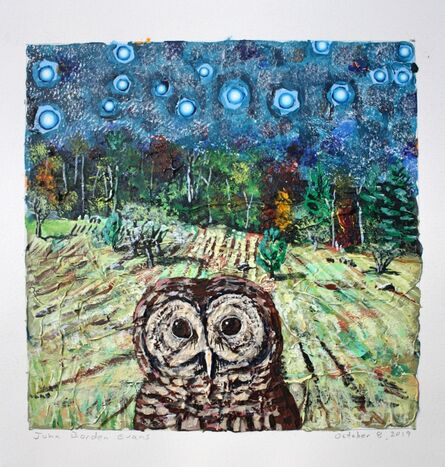 John Borden Evans, ‘Barred Owl (Remnant)’, 2019