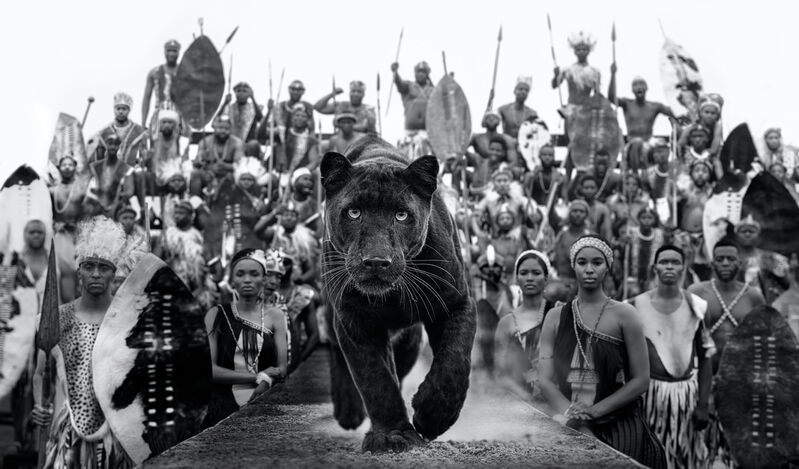 David Yarrow, ‘I Am Black Panther’, 2021, Photography, Archival Pigment Print, CAMERA WORK