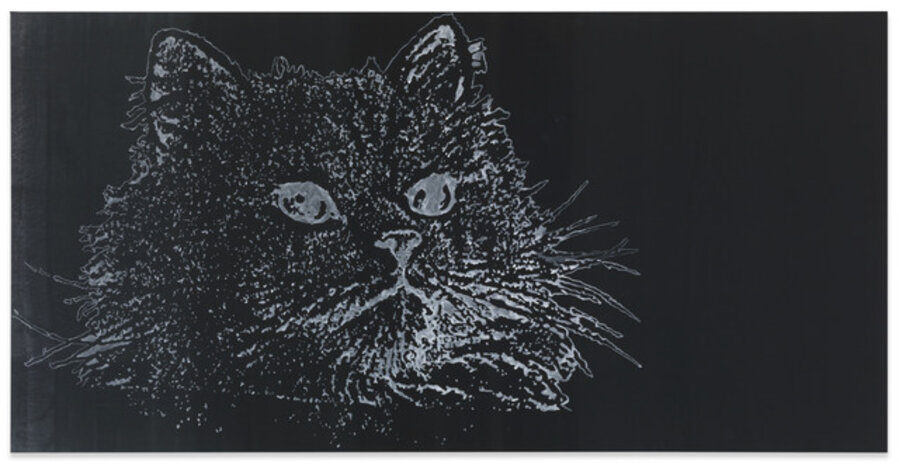 Katze