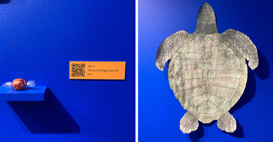 Vignette #8: Turtle egg, Paper turtle, Day 14: “What Do Turtle Eggs Taste Like?” audio