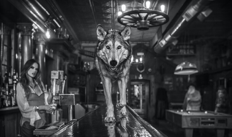 David Yarrow, ‘Friday Night At The Pioneer’, 2020, Photography, Archival pigment print, Maddox Gallery