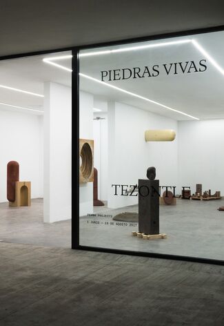 Piedras Vivas, installation view