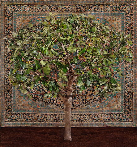 Tal Shochat, ‘Fig Tree with Carpet’, 2023
