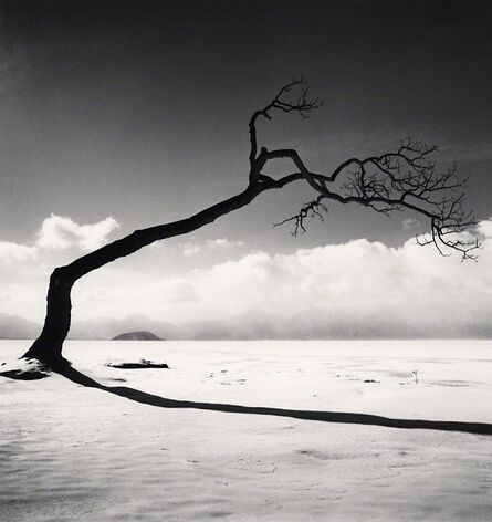 Michael Kenna, ‘Kussharo Lake Tree, Study 10, Kotan, Hokkaido’, 2005