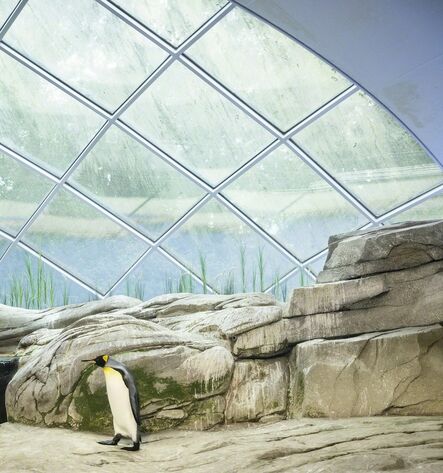 Eric Pillot, ‘Penguin and Dome’, 2012