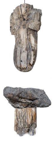 José Antonio Cauja, ‘Concavo y convexo’, 2012