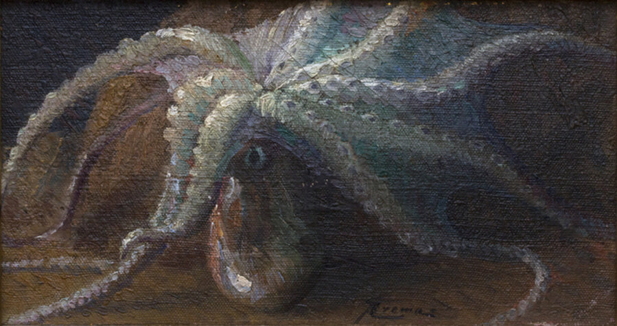Octopus