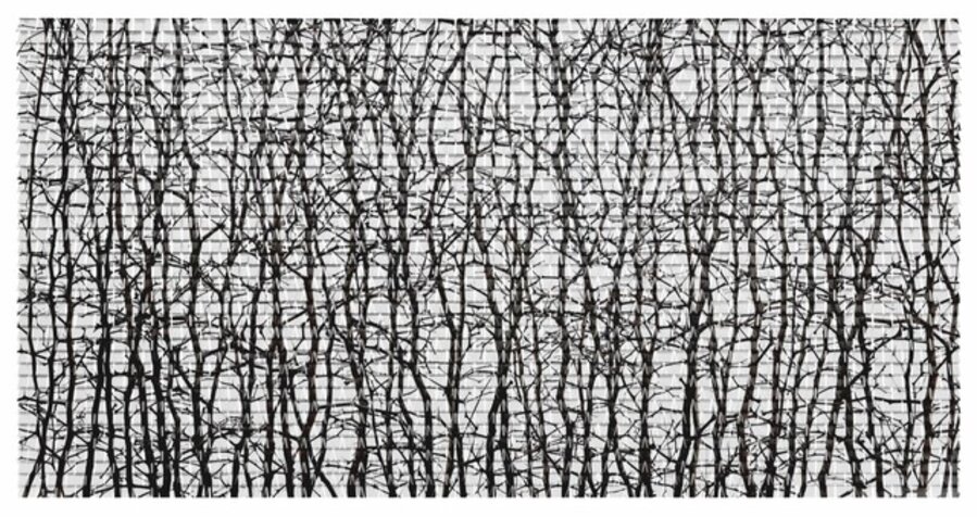 Form of Light-Forrest No.3 有形之光-丛林No.3