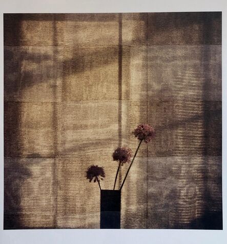 Peter C. Jones, ‘Checkered Alliums, Large Format Photo 24X20 Color Photograph Beach House RI’, 2000-2009