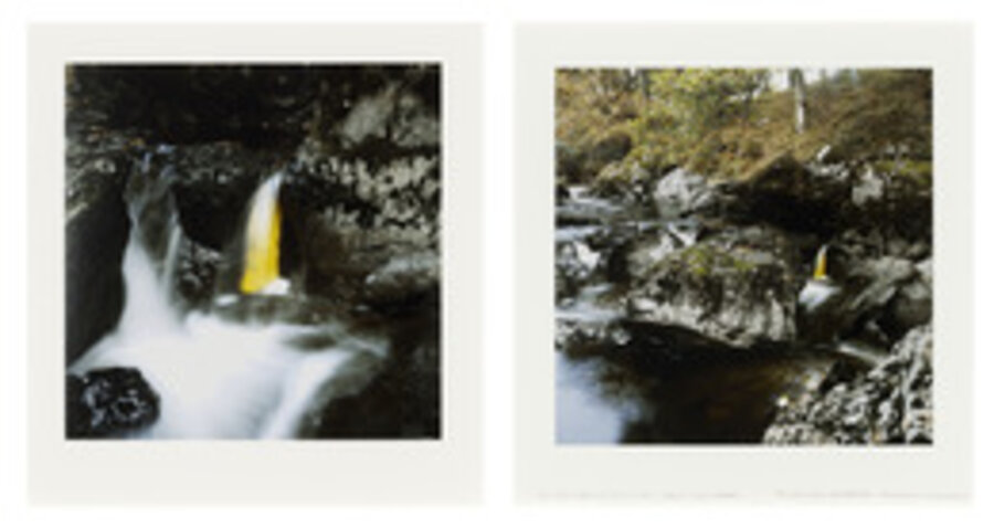 Elm Leaves / Held Together with Water to Rock / Behind a Small Waterfall / Glen Marlin Falls, Dumfriesshire / 19 October, 2007