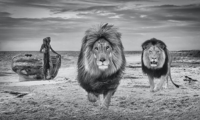 David Yarrow, ‘The Old Man and the Sea’, 2022, Photography, Archival Pigment Print, CAMERA WORK