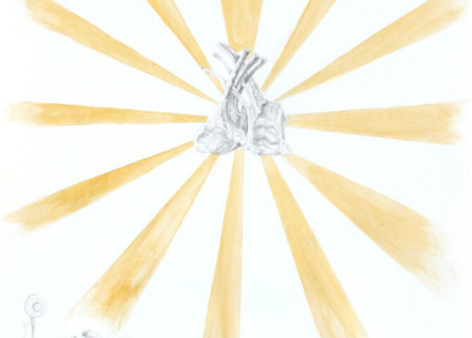 AGorgi Contemporary Art Gallery