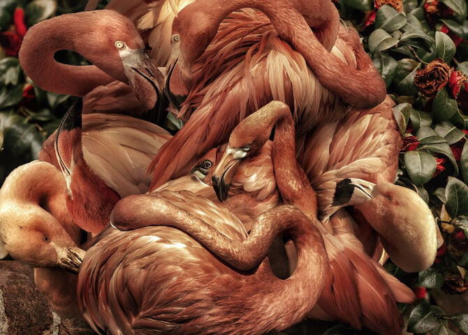 Gabriel Wickbold Studio and Gallery