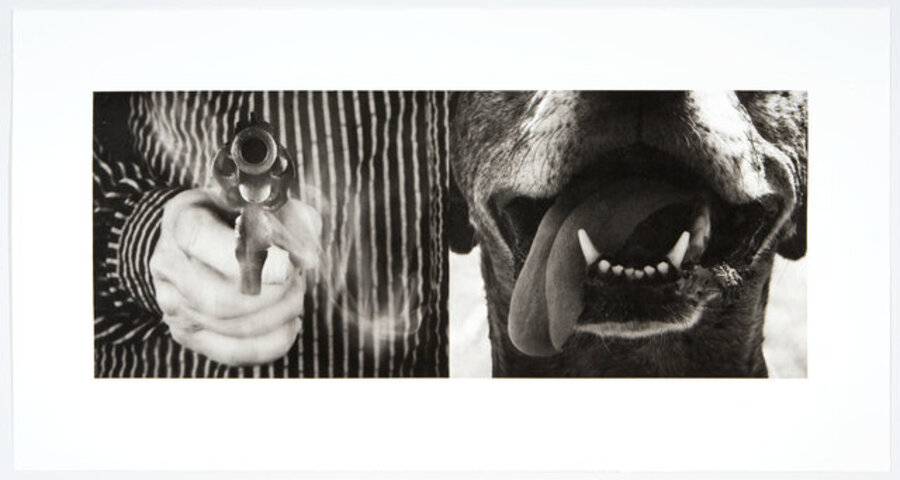 The Gun and The Dog
