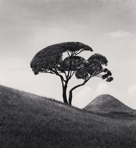 Michael Kenna, ‘Tree and Mountain, Suizenji Joju-en Garden, Kumamoto, Kyushu, Japan’, 2002