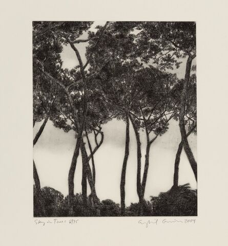 April Gornik, ‘Sky in Trees, from April Gornik: Paintings and Drawings’, 2005