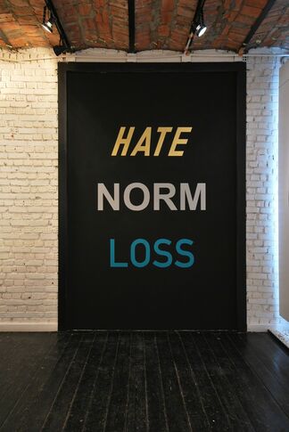 Hate Norm Loss, installation view