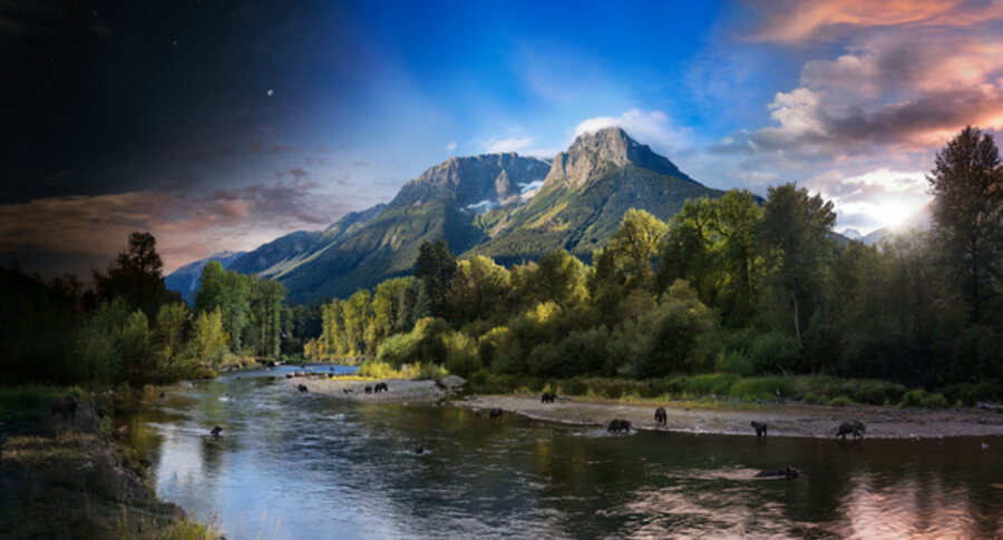 Grizzly Bears, Bella Coola, British Columbia, Canada, Day to Night
