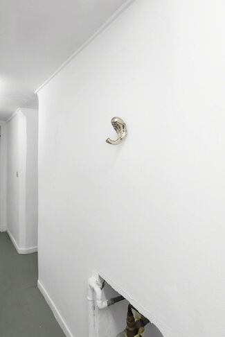 Namsal Siedlecki: Integument, installation view