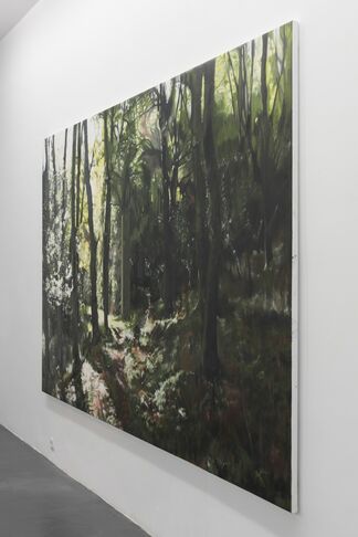 Álvaro Negro "El tambor en el bosque", installation view