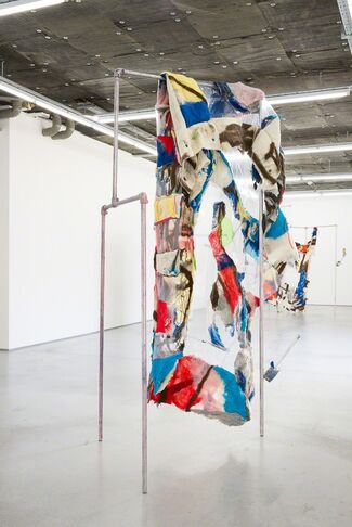 CAMILLA STEINUM - Dubious Desire for Cleanliness, installation view