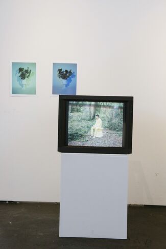 Christine Park Gallery at PHOTOFAIRS | San Francisco 2018, installation view