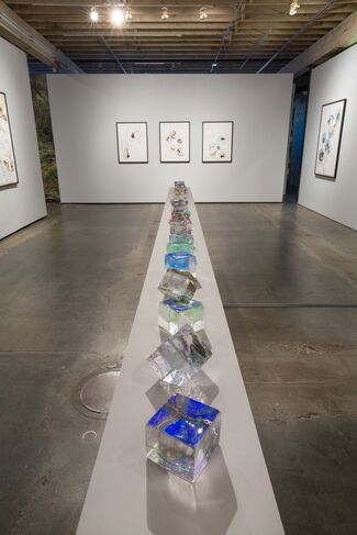 Etsuko Ichikawa: Vitrified, installation view
