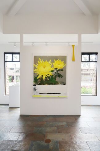 RAWsalt | Michael Harnish | THE FLOWER POLAROIDS, installation view