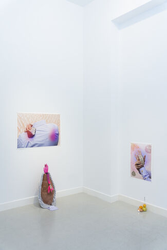 Cosmic Cry, installation view