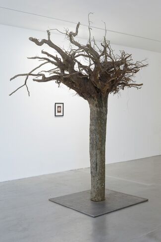 Kris Martin - "Prometheus", installation view