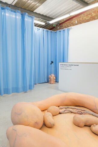 Stine Deja & Marie Munk 'Synthetic Seduction', installation view