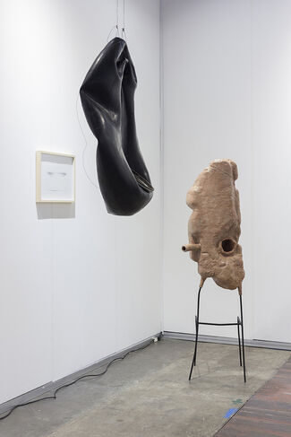 Galerie Jocelyn Wolff at arteBA 2018, installation view