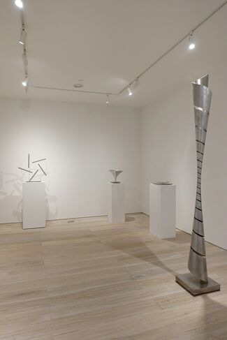 Martin Willing: Sculpting Motion, installation view