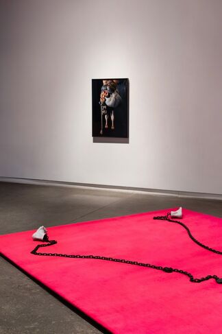 Chris Curreri: The Ventriloquist, installation view