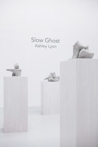 Slow Ghost, installation view
