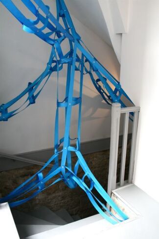 Blue genetic, installation view