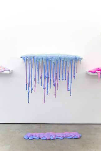 Dan Lam: Delicious Monster, installation view