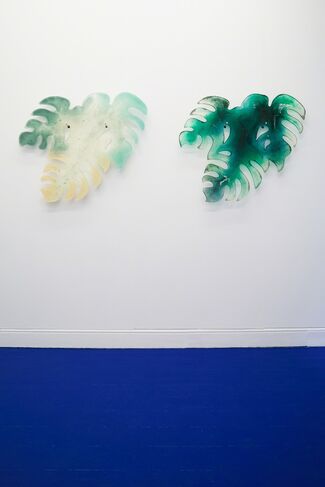 Tropical Hangover, installation view