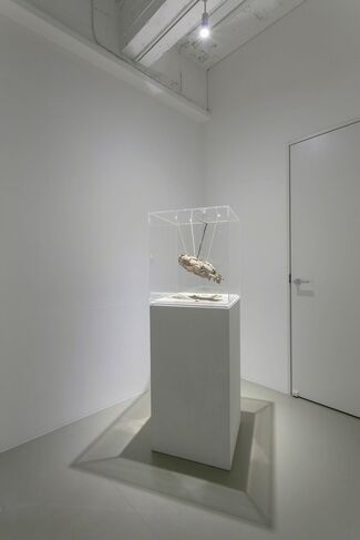 Haruko Sasakawa "Recollection: the Plywood Fish", installation view