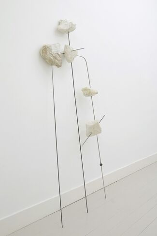 Vanessa Safavi, installation view